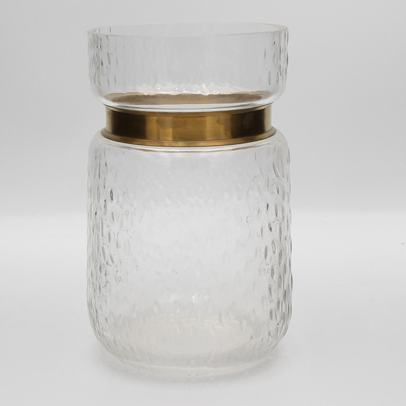 Transparent Glass Vase